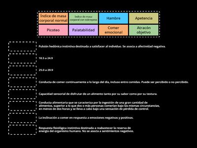 Conceptos relacionados con la obesidad