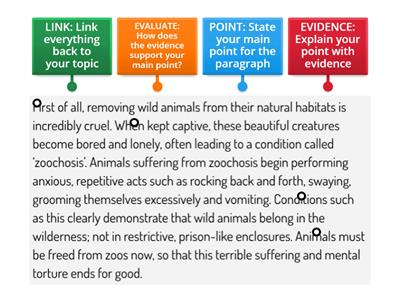  PEEL Paragraph Structure  