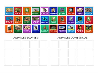CLASIFICACION DE ANIMALES DOMESTICOS Y SALVAJES