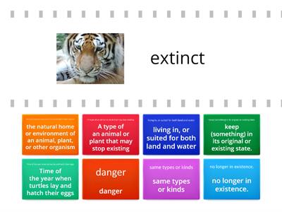 Endangered Species Review