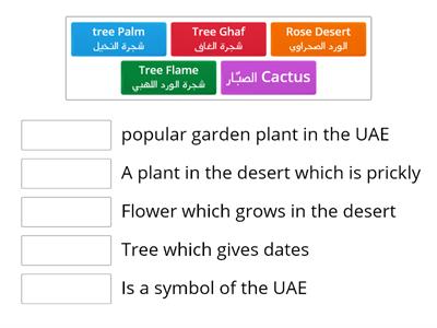  Plants in the UAE