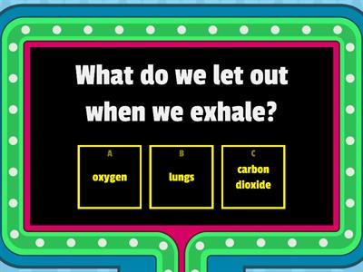 Y3 Serpong Science: Respiratory System