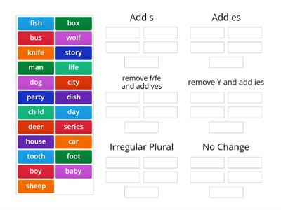 Regular and Irregular Plurals