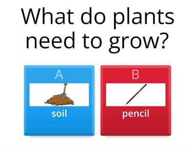 Needs of plants for growth