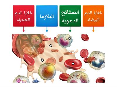 أُسَمي مكونات الدم على مخطط الدم ؟