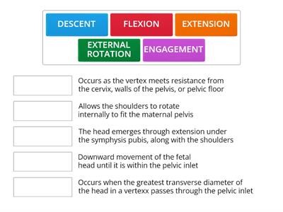 FETAL MOVEMENTS during labor