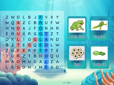 Frog life cycle _ wordsearch