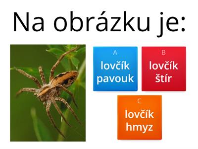 poznávání členovci