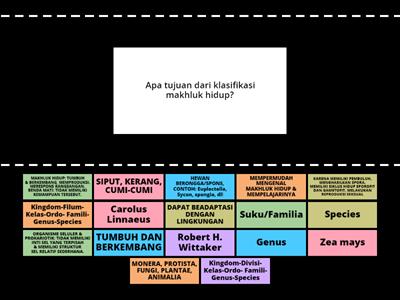 Match Up