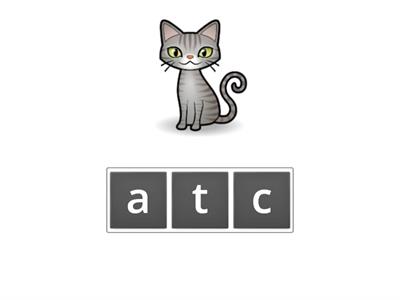 Aa closed syllable (Anagram)