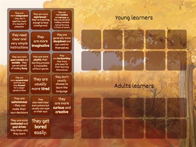 Young Learners vs. Adult Learners