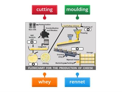 S3 Biology Cheese Making