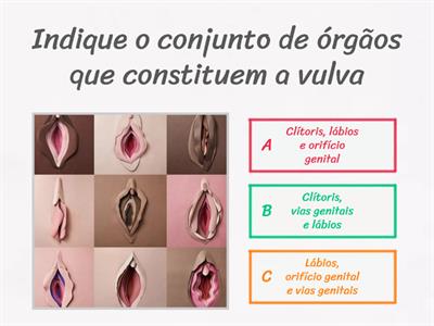 Sistema reprodutor feminino e oogénese