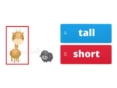 Nursery: Tall or Short