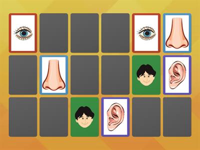 Parts of the body - Memory game