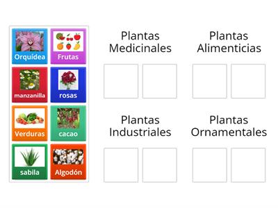 Clasificación de las Plantas según su utilidad