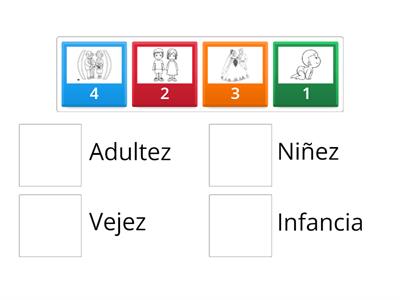 UNIR LAS PAREJAS DE LAS ETAPAS DE VIDA DE LOS SERES VIVOS