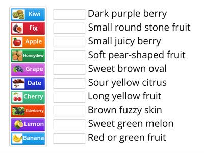 Fruit Vocabulary Match