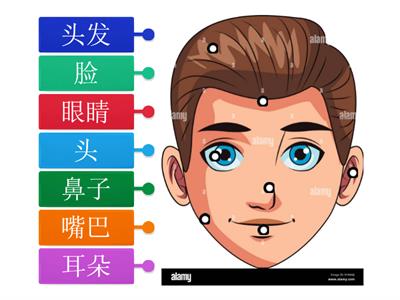 Label the face in Chinese