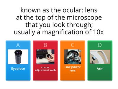 Quiz 2-Microscope