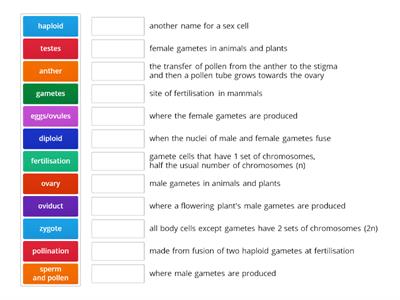 N5 Bio 2.3 Reproduction