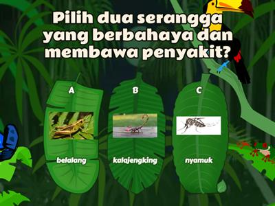 SERANGGA / INSECTS by Cikgu Nazrah Aan