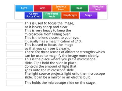 B1 Homework 1 Parts of a Microscope