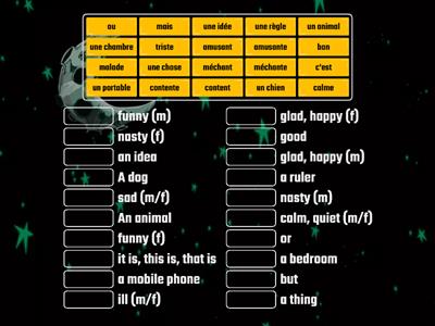 NCELP Y7&8 - WK 2,3 vocab match up 