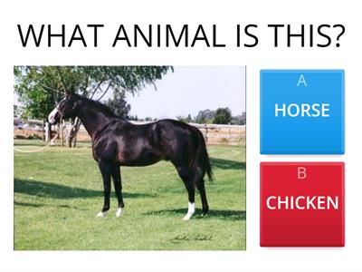 Quiz: Farm animals