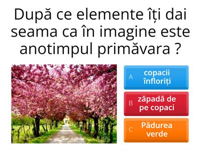 Zana primavara 