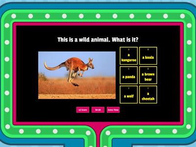 Can you name the animals?