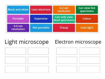 Electron vs light microscope