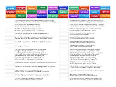 Evolution Vocab