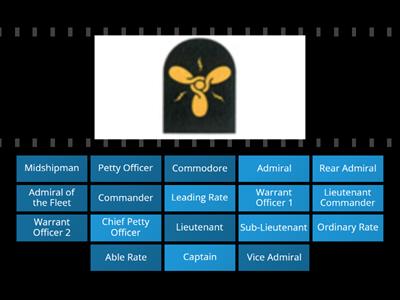 Royal Navy Ranks & Rates
