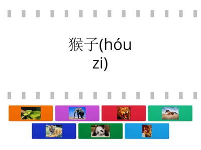 Zoo 动物园（dòng wù yuán）