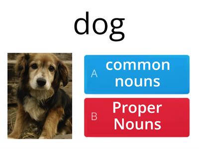 Common and proper nouns Quiz
