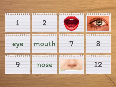 Parts of the face (memory game)