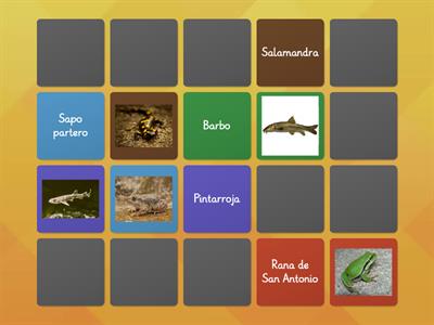 Peces/Anfibios/Reptiles-Nombres