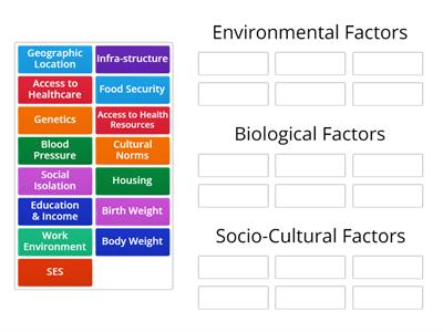 Group Sort - Factors Affecting Population Groups