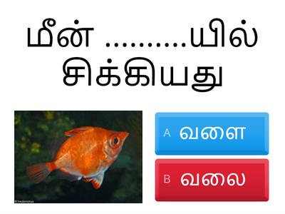 tamil worksheet