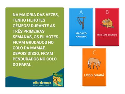 Animais Brasileiros 🐆 Livro Olho de Onça 🐆 Questionário