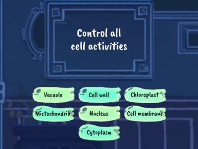 Form1 Cell structure and their funtion