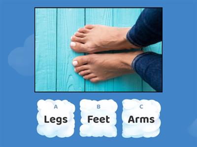 Body parts quiz