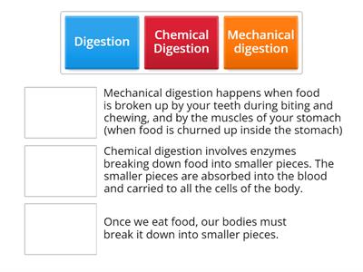 Digestion Types