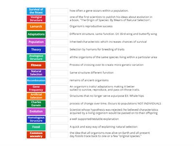 Evolution Vocabulary Review