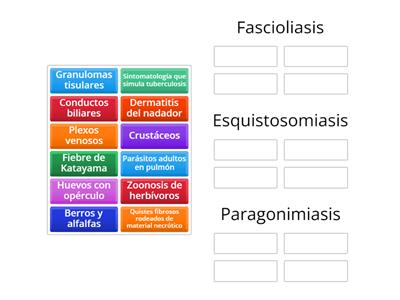 Parasitología: Parasitosis por tremátodos