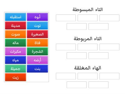  التاء المبسوطة و المربوطة والهاء المغلقة