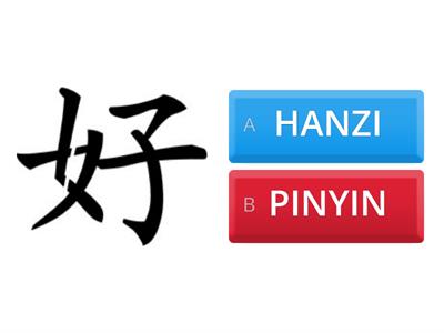 HANZI OR PINYIN?