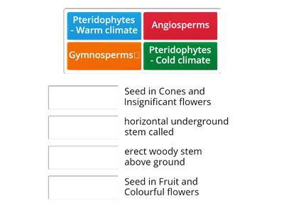 The Plant Kingdom 3: Photosynthesis