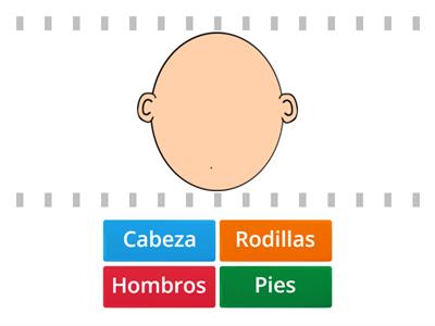 Find the match -Partes del cuerpo 1